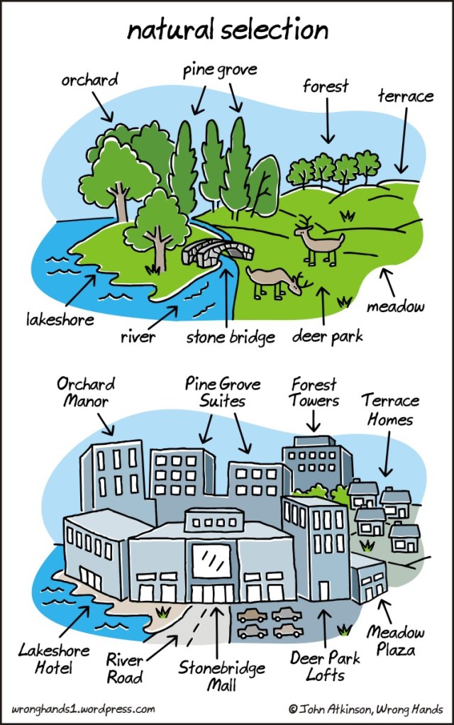 20130629sa-wronghands-natural-selection-development